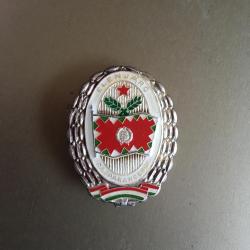 Élenjáró parancsnok jelvény