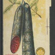1920.- 1 db számolócédula -  Herz Ármin szalámi a legjobb