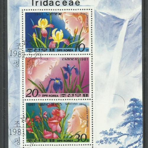 1981.- Korea - MNH/** - blokk - Nősziromfélék - virág