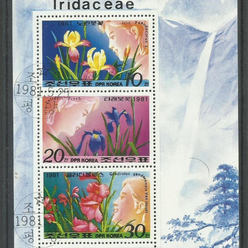 1981.- Korea - MNH/** - blokk - Nősziromfélék - virág