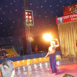 Rendezvények szervezése  iskolai rendezvény farsang -cirkusz
