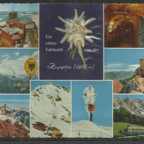 1964.- Eredeti havasigyopár - Edelweiß - képeslap -futott