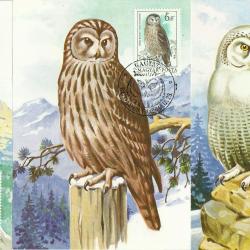 1984.- bagoly carte maximum - 7 db. nem futott