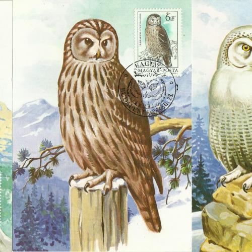 1984.- bagoly carte maximum - 7 db. nem futott