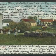 1905. - Hortobágy - Tanya - futott - képeslap