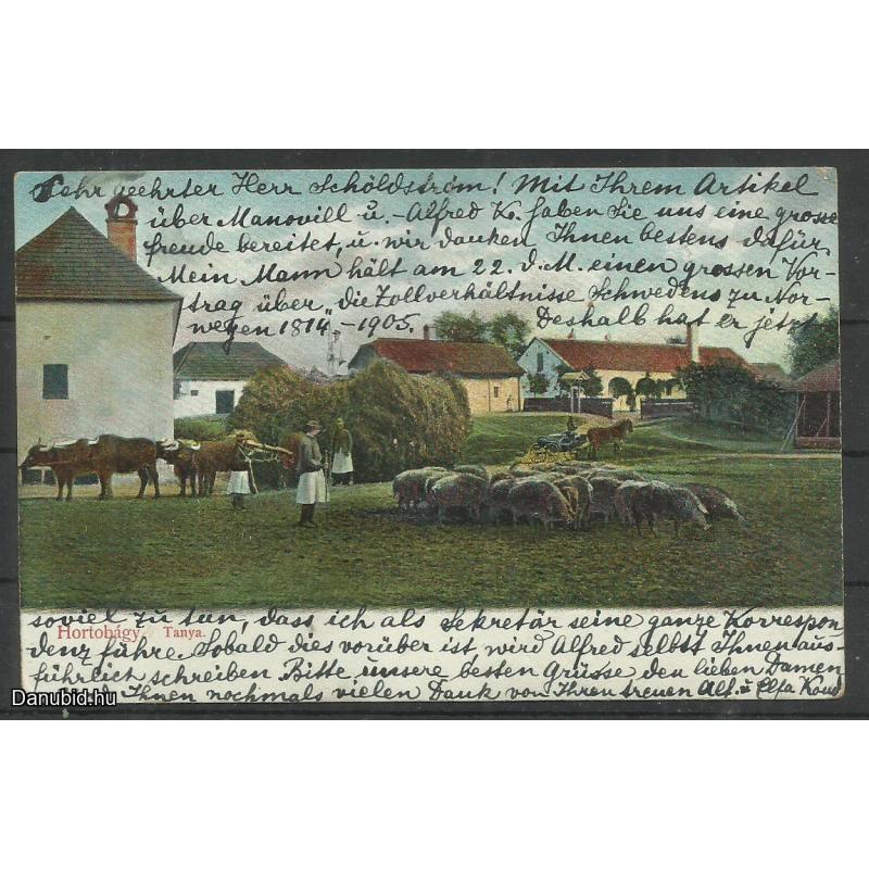 1905. - Hortobágy - Tanya - futott - képeslap