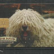 1996.- Magyar kutyafajták - Magyar Telefonkártya - Komondor