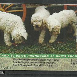 1996.- Magyar kutyafajták - Magyar Telefonkártya - Komondor