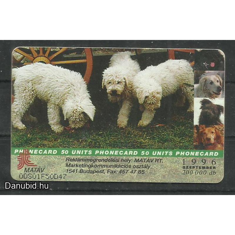 1996.- Magyar kutyafajták - Magyar Telefonkártya - Komondor
