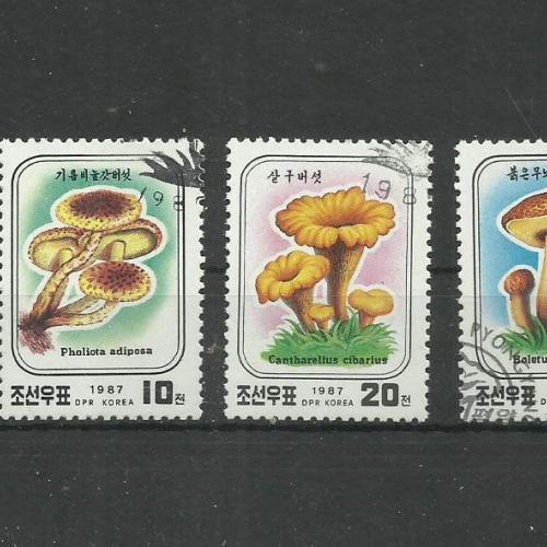 1987.- Észak - Korea - MNH/** - pecsételt - gomba sor