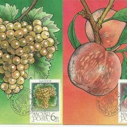 1986. - Gyümölcsök sor - MNH/** - Carte Maximum 6 db