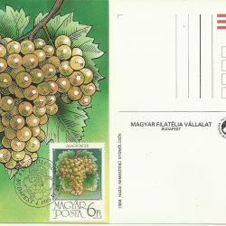 1986. - Gyümölcsök sor - MNH/** - Carte Maximum 6 db