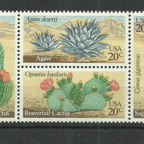 1981.- Amerika - U.S.A. - MNH/** - Kaktusz