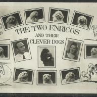 1965.- Cirkusz - fénykép kutyaszám