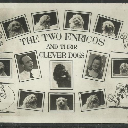 1965.- Cirkusz - fénykép kutyaszám