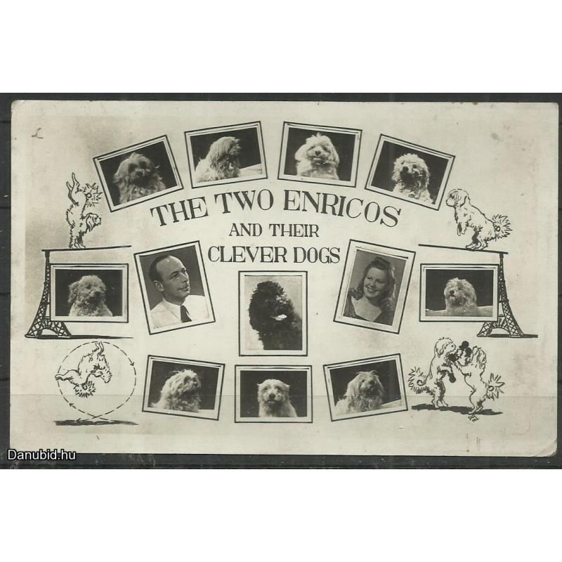 1965.- Cirkusz - fénykép kutyaszám