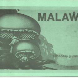 1985.-Malawi - (FDC) – Gombák,