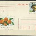 Levelezőlap - Dr.Mohácsy Mátyás - díjjegyes - Békéscsaba