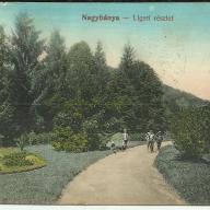 1911.- Nagybánya - Liget részlet - képeslap - futott
