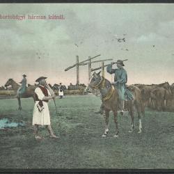 1906. - Hortobágy - Ménes a hortobágyi hármas kútnál- futott - képeslap