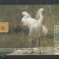 1994.- Védett madarak - Magyar Telefonkártya - Kanalasgém