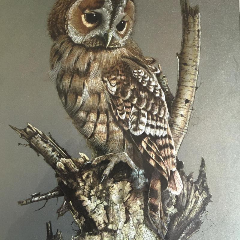 1970.- Andrey North - Bagoly - maratott  fémfólia