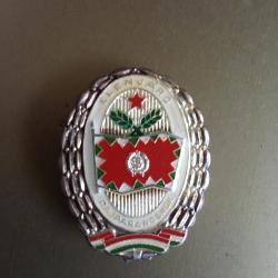 Élenjáró parancsnok jelvény