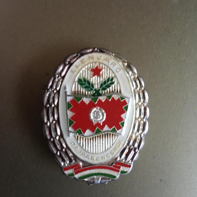Élenjáró parancsnok jelvény