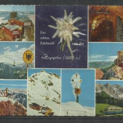 1964.- Ausztria - képeslap  - Havasigyopár - Edelweis - futott