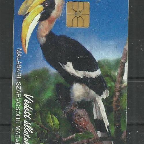 1998.- Védett állatok - Magyar Telefonkártya - Malabári szarvascsőrű