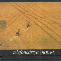 2000.- Magyar Millennium - Magyar Telefonkártya - A zászlót.......