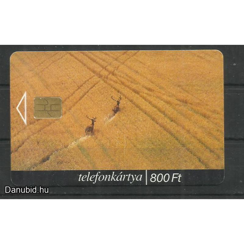 2000.- Magyar Millennium - Magyar Telefonkártya - A zászlót.......