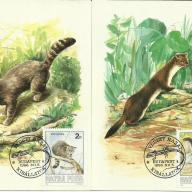 1986.- Védett hazai kisállatok - Carte Maximum