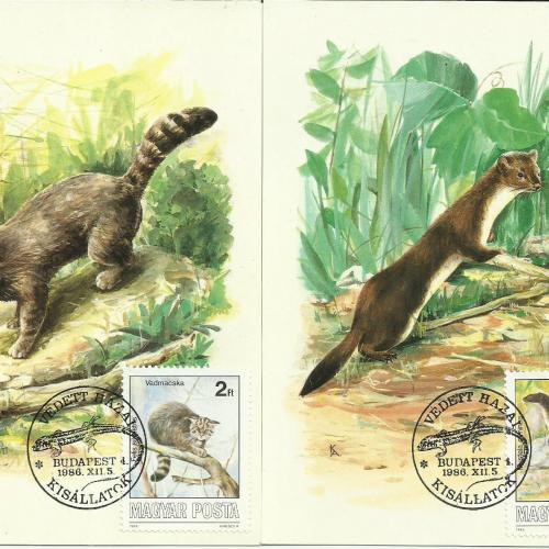 1986.- Védett hazai kisállatok - Carte Maximum