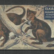 1920.-  1 db számolócédula - Elkán és Gergő - szűcsök - kengurú