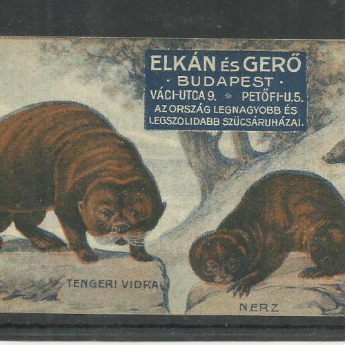 1920.-  1 db számolócédula - Elkán és Gergő - szűcsök - Tengeri vidra