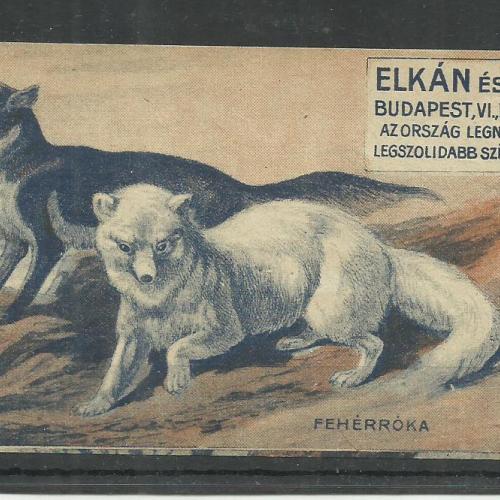 1920.-  1 db számolócédula - Elkán és Gergő - szűcsök - kékróka