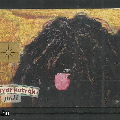 1996.- MATÁV - Magyar Telefonkártya - Puli