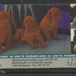 1997.- MATÁV - Magyar Telefonkártya - Vizsla