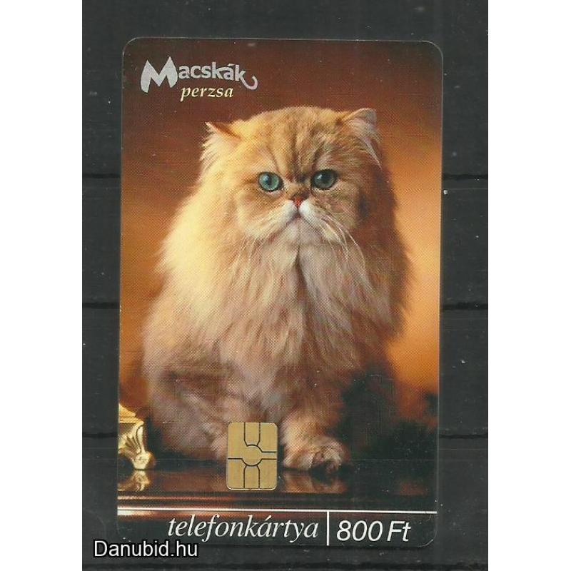 2003.- MATÁV - Magyar Telefonkártya -  Macskák Perzsa