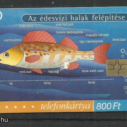 2001.- MATÁV - Magyar Telefonkártya -  Halak