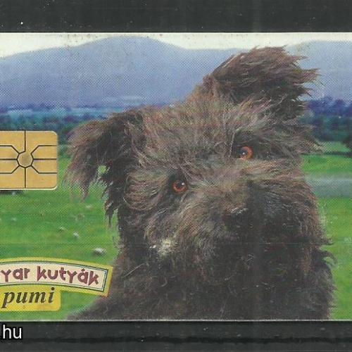 1996.- MATÁV - Magyar Telefonkártya - Pumi