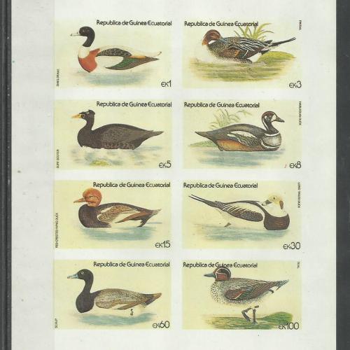 Guinea Egyenlítői 1979 - MNH/** - vágott blokk - Kacsák