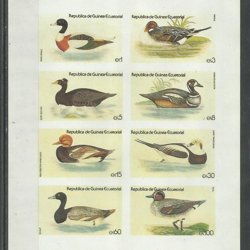 Guinea Egyenlítői 1979 - MNH/** - vágott blokk - Kacsák