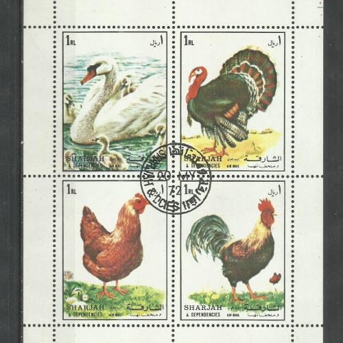 1972.- Sharjah - Madarak - pulyka - kakas - tyúk - MNH/** - kisív