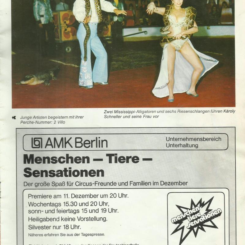 1981.- Magyar Cirkusz - műsorfüzet - Nyugat - Berlin
