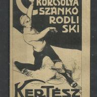 1920.- számolócédula - Kertész Tódor - Téli sport- szánkó