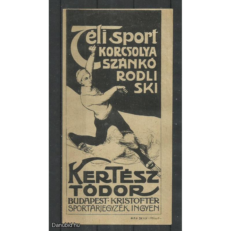 1920.- számolócédula - Kertész Tódor - Téli sport- szánkó