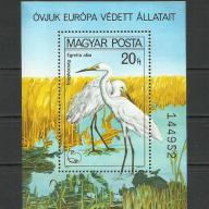 1980.- Védett madarak - MNH/**.- blokk - Nagykócsag
