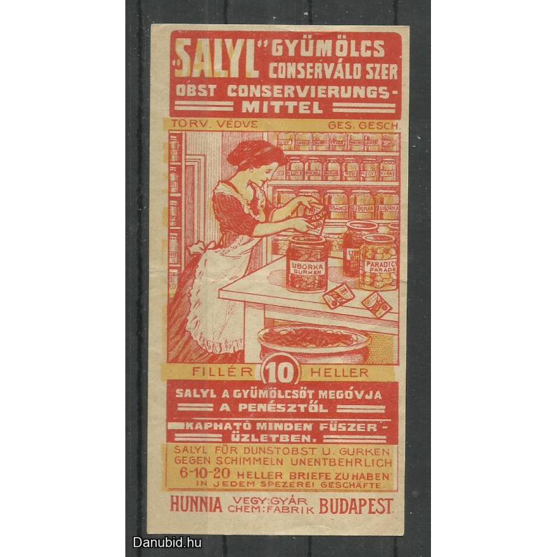 1920.- 1 db számolócédula - SALYL - gyümölcs - Coserváló szer